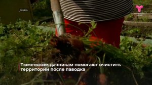 В Тюмени приступили к уборке территорий после паводка
