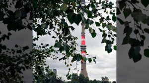 Останкинская башня: «АиФ» появился на главном медиафасаде Москвы