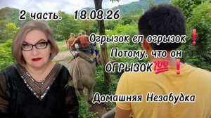 2 часть. Огрызок ел огрызок и терпел❗️Потому, что он ОГРЫЗОК❗️