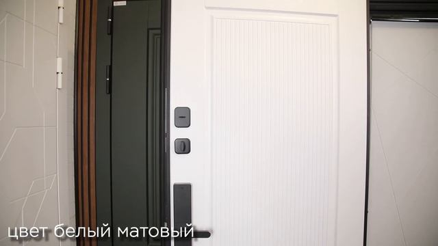 Стальная дверь Scandi (биометрический замок Smart Lock R06)