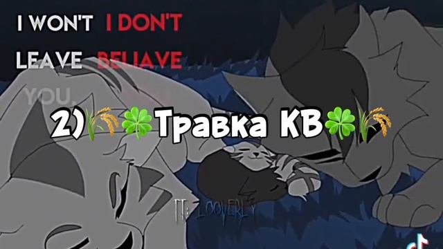 Серебрянка кв