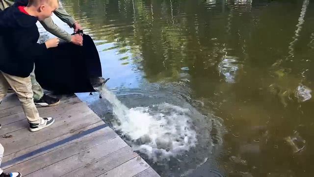 Запуск форели в Спорт-зону 18.08