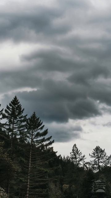 В ожидании дождя