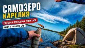 Сямозеро. Судак, Окунь , Август 2026