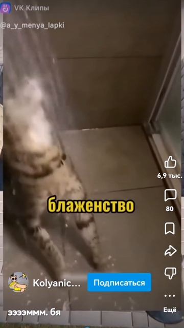 Вирусные-видео?! 🤣🤟✅
