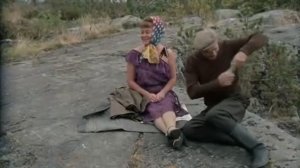 Любовь и голуби