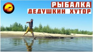 Рыбалка! ДЕДУШКИН ХУТОР / Отдых на Сказочной Волге