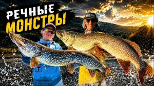 КАК ПОЙМАТЬ НАСТОЯЩЕГО МОНСТРА?!