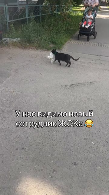 Неожиданные кадровые перестановки в ЖЭКе