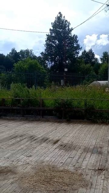 У скита в Новом Иерусалиме. 20 июля