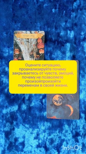подсказка оракула