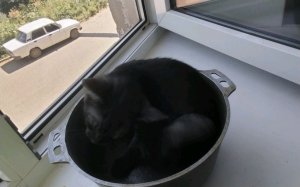 эфир