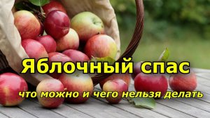 Приметы на 19 августа что нельзя делать на Яблочный спас