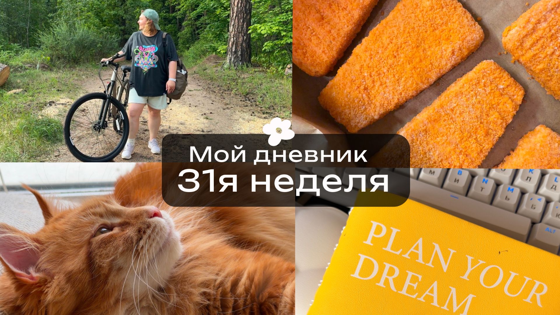 31. Катаюсь на велосипеде. Новые книги. Разбираю типажи внешности. Хочу вернуться в режим похудения.