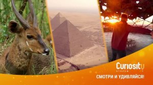 Премьеры осени на CuriosityStream