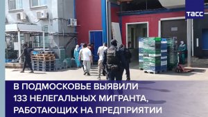 В Подмосковье выявили 133 нелегальных мигранта, работающих на предприятии