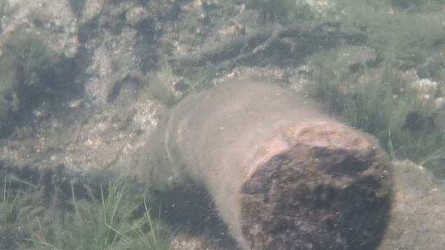 Водоемы