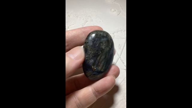 Лабрадор Парящая птица гладкий камень