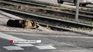 «Я, мама и Ева»