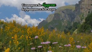 Не тратьте свою жизнь....