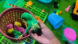 Тёплая история в радужных красках