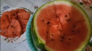 УДАЧА ДНЯ.🍉🍉🍉