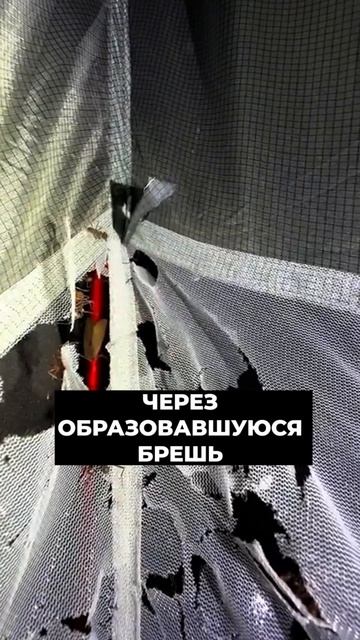 Бюро Бодрых Новостей! Антон Юрьев про змей... при поддержке Терра Вита!)