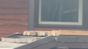 OIXT1072_17.08.2026_Видео от Светланы