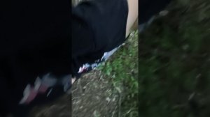 ................