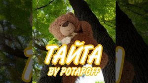 Тайга-Potapoff