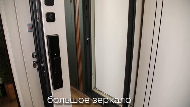 Стальная дверь Scandi с зеркалом (биометрический замок Smart Lock DZ888)