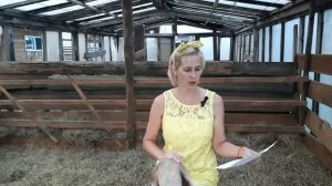Как лечили понос у телят, продажа Камиллы