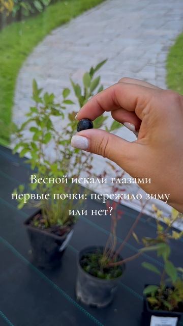 Делимся садовыми мудростями 😍