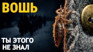 Вошь, которая уничтожила армию Наполеона. ДНК из зубов раскрыла имя убийцы