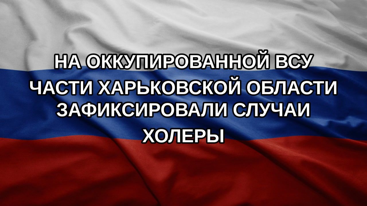 На оккупированной ВСУ части Харьковской области зафиксировали случаи холеры