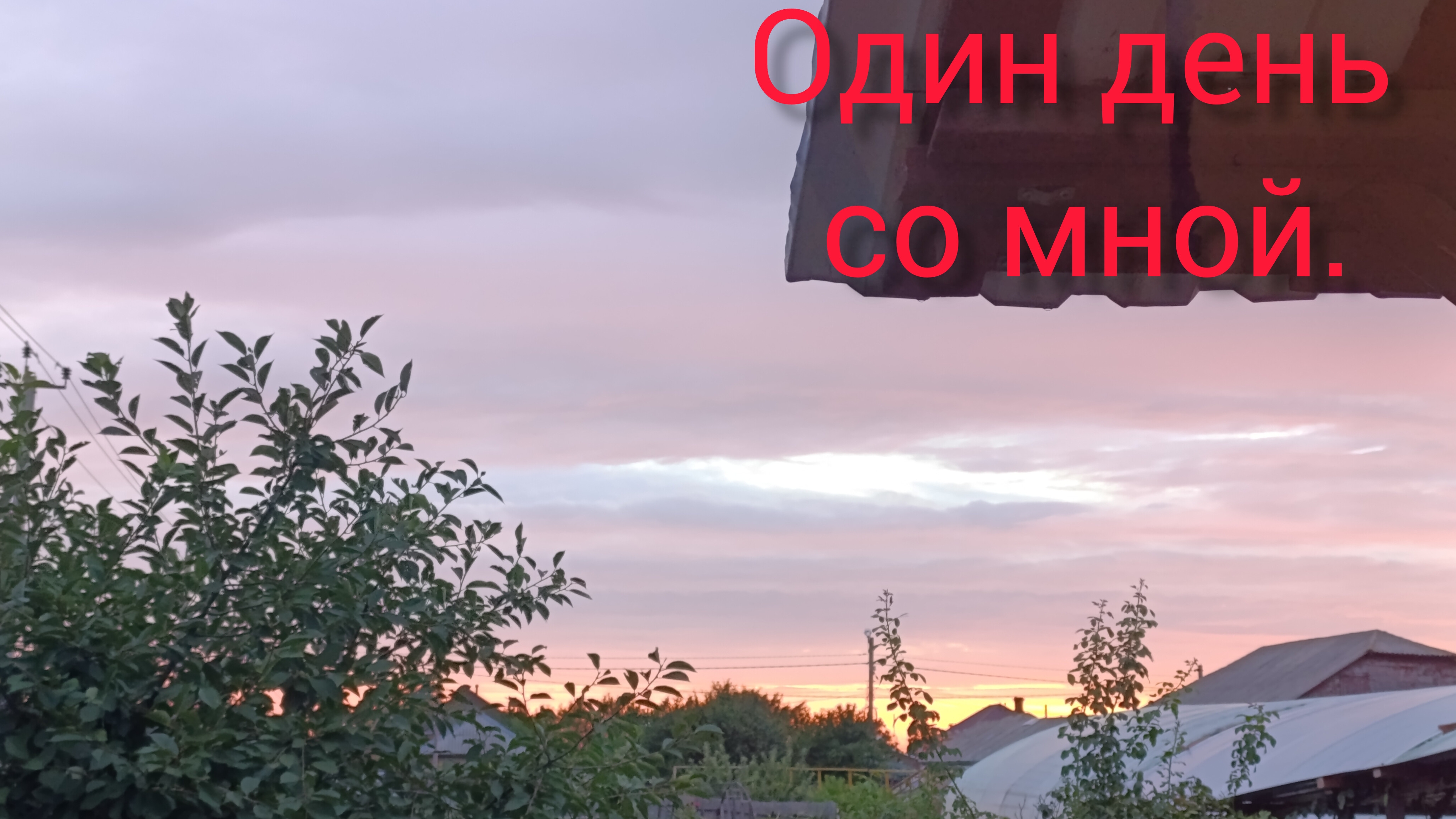 Один день со мною/ Клубника/ Поездка в город 🏙️/ #жизньвдеревне#жизньзагородом#ремонтвдоме#