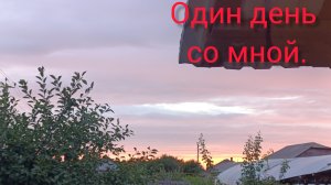 Один день со мною/ Клубника/ Поездка в город 🏙️/ #жизньвдеревне#жизньзагородом#ремонтвдоме#