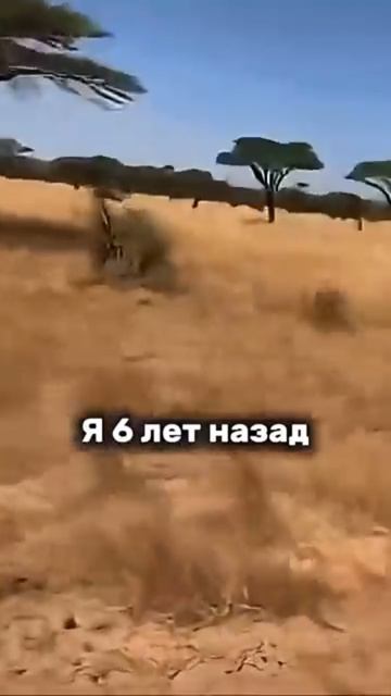 6 лет не пью