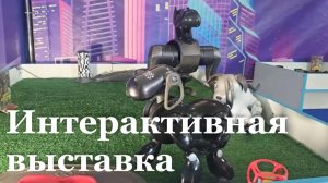 В Луганске состоялась интерактивная выставка «Робосфера»
