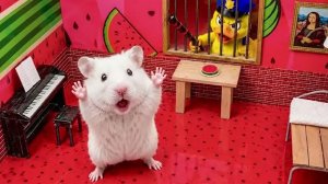 Хомяк сбегает из фантастического лабиринта 🐹 Приключение Пушистика