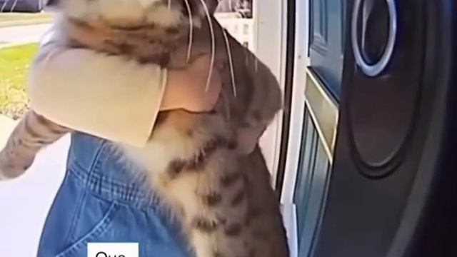 Она ведь такая милая.