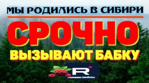 Срочно вызывают бабку /Мы родились в Сибири Обзор