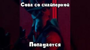 Сова с винтовкай