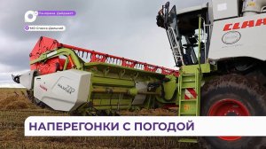 Уборка ранних зерновых и заготовка кормов в самом разгаре на полях МО Спасск-Дальний