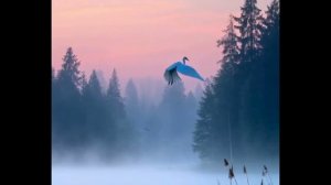 Светлячки в Душе Wladoka