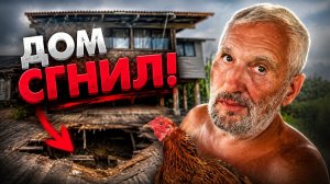 Мы думали, обычный день… Но пол в доме провалился, а животным срочно нужен ветеринар!