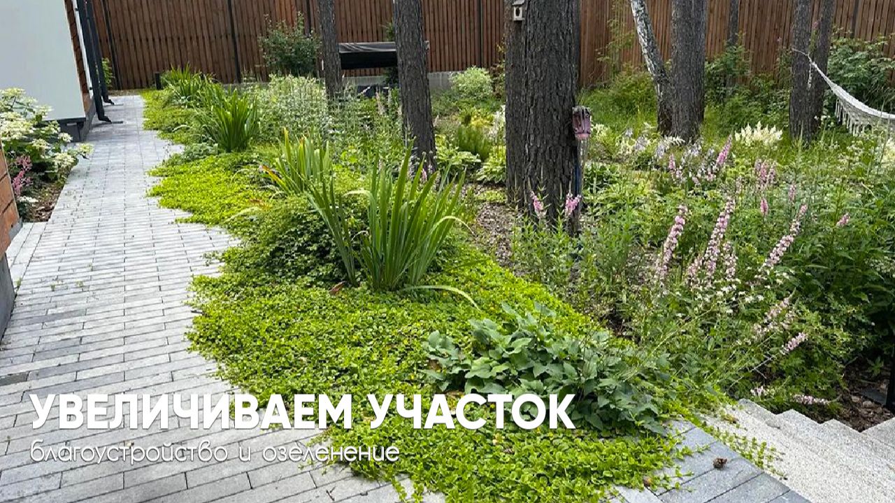 Развиваем сад в «Заповеднике Барс»: от расчистки до корта с искусственным льдом