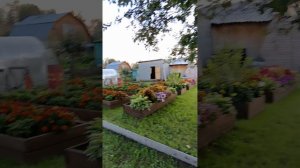 Быстрый обзор нашей дачи