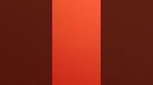 6565