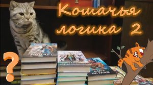 кошачья логика 2
